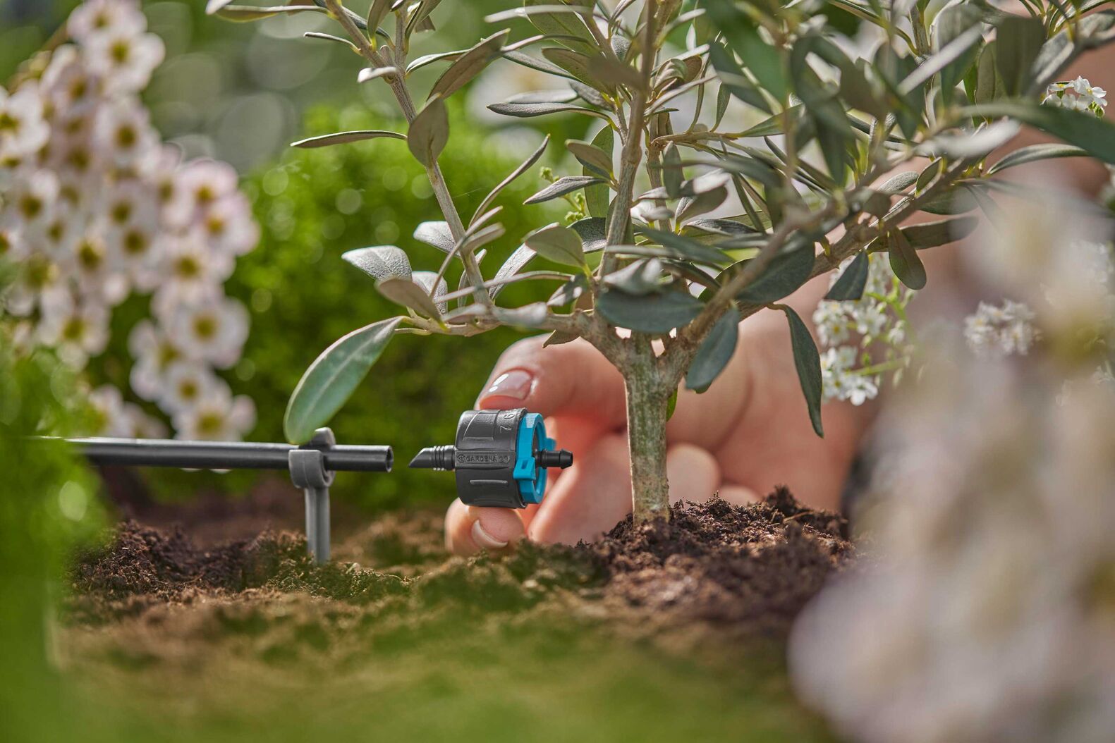 Clevere Systeme wie eine Tropfbewässerung helfen dabei, das Wasser bewusst und möglichst effizient einzusetzen. Gardena bietet ein Tropfrohr, das sich wahlweise ober- oder unterirdisch verlegen lässt. www.gardena.com