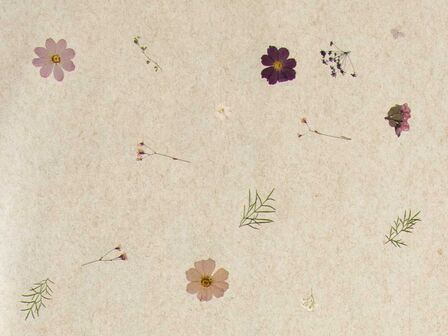 Die Textur «Violette» ist eine Blütenmischung aus Hortensie, Rittersporn, Kosmeen und Schleierkraut.