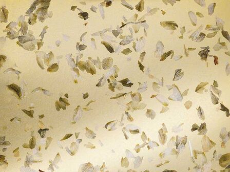 «Hopfen Gold» besteht aus locker gestreuten, silbrig schimmernden Hopfenblüten auf glänzendem Goldpapier.
